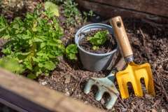 Conkers Day Nursery - Outside areas