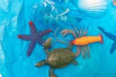 Conkers Day Nursery - Pre-school